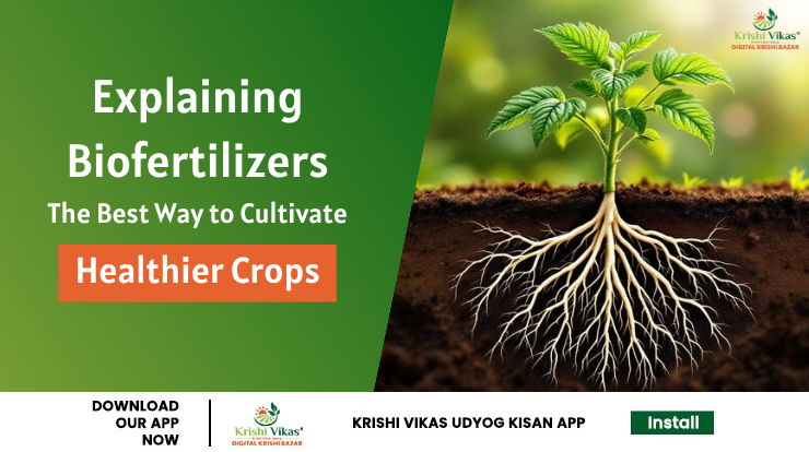 Explaining Biofertilizers: The Best Way to Cultivate Healthier Crops