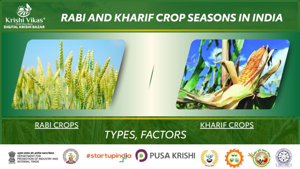 Rabi and Kharif Crop seasons in India – Types, factors
